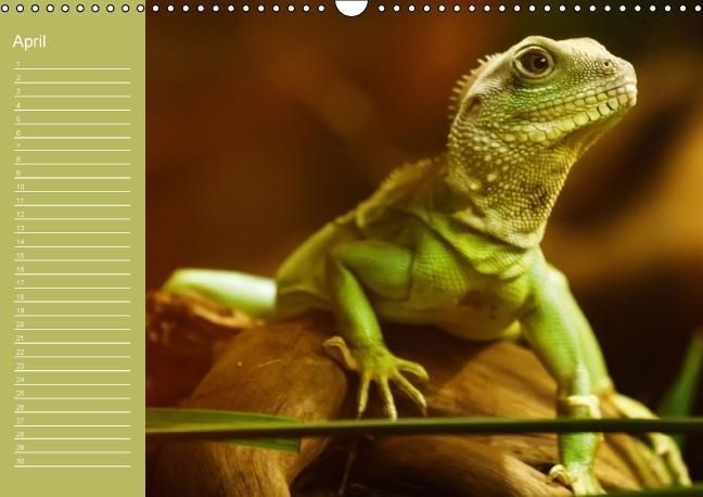Produktbild: Drachen / Geburtstagskalender (Wandkalender immerw&auml;hrend DIN A3 quer)