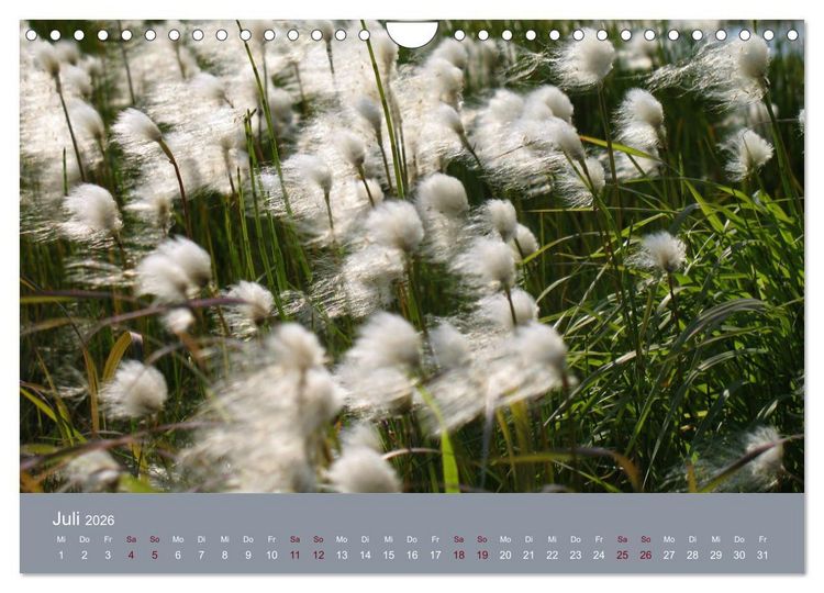 Produktbild: Kamtschatka - Vulkane, Asche, Eis (Wandkalender 2026 DIN A4 quer), CALVENDO Monatskalender