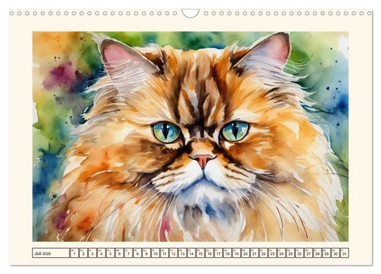 Produktbild: Samtpfoten im Portrait (Wandkalender 2026 DIN A3 quer), CALVENDO Monatskalender