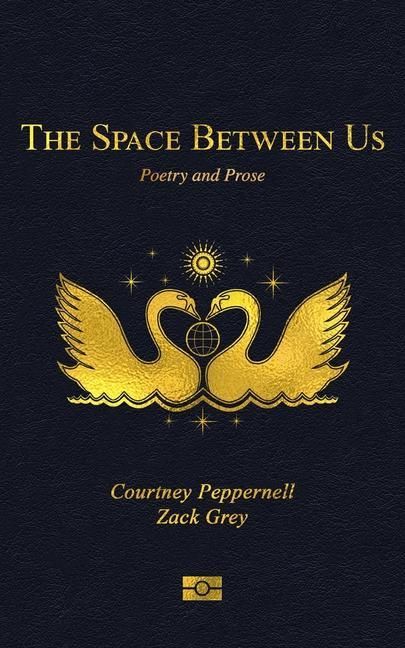 Produktbild: The Space Between Us