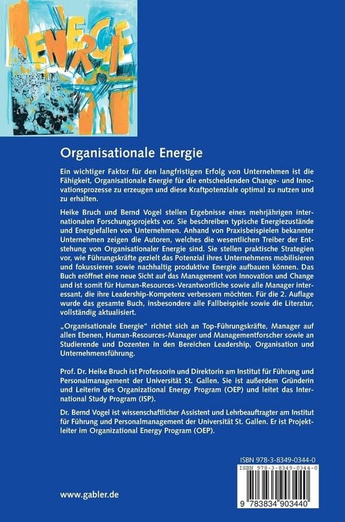 Produktbild: Organisationale Energie