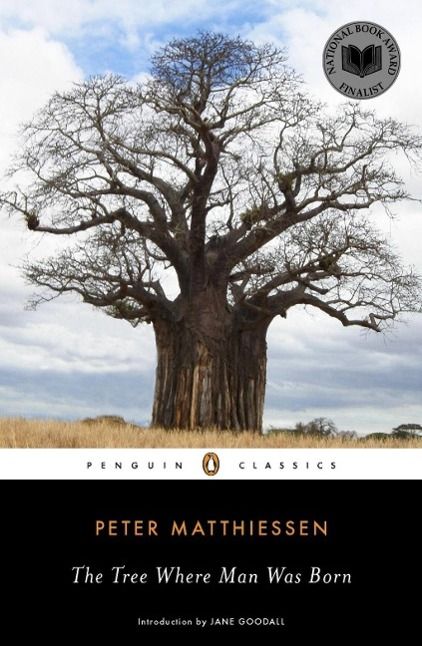 Produktbild: The Tree Where Man Was Born
