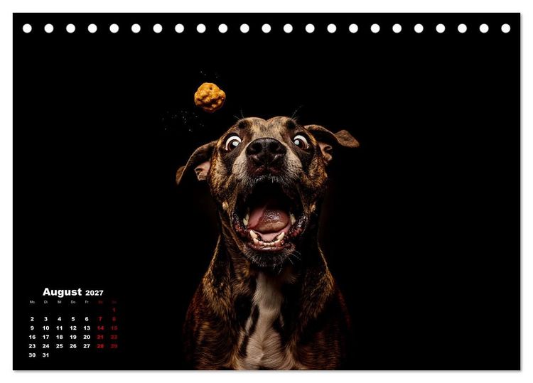Produktbild: Leckerchen! (Tischkalender 2027 DIN A5 quer), CALVENDO Monatskalender