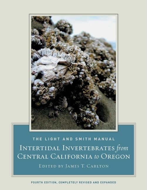 Produktbild: The Light and Smith Manual