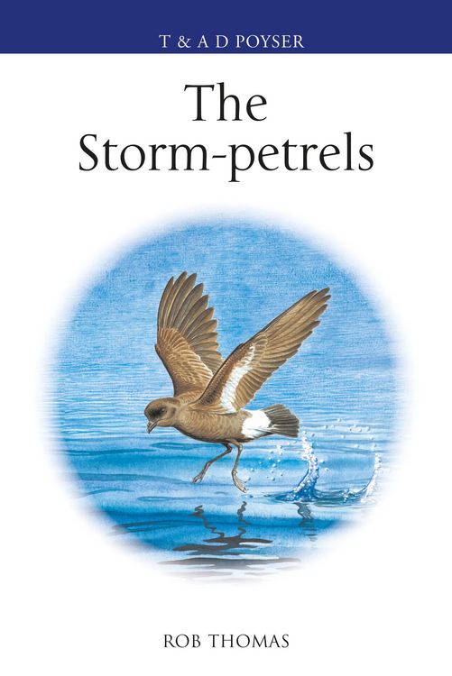 Produktbild: The Storm-petrels