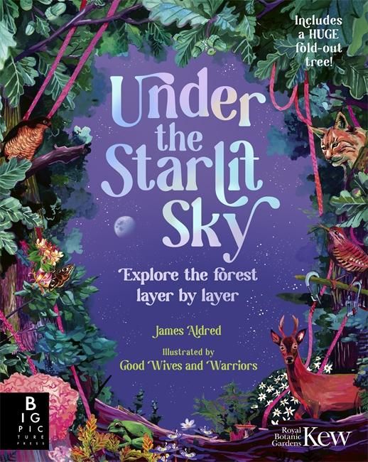 Produktbild: Under the Starlit Sky