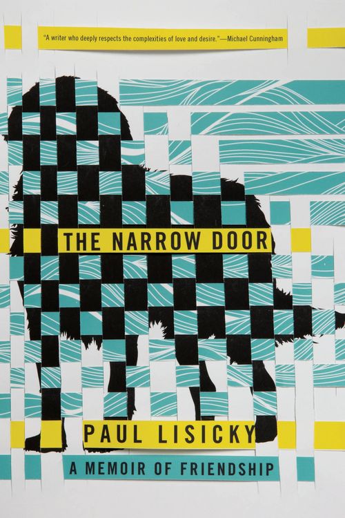 Produktbild: The Narrow Door