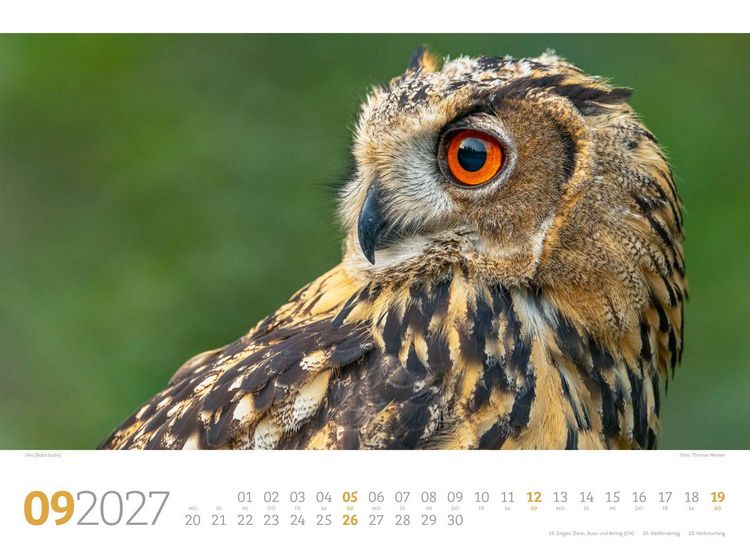 Produktbild: Tierwelt Wald Kalender 2027