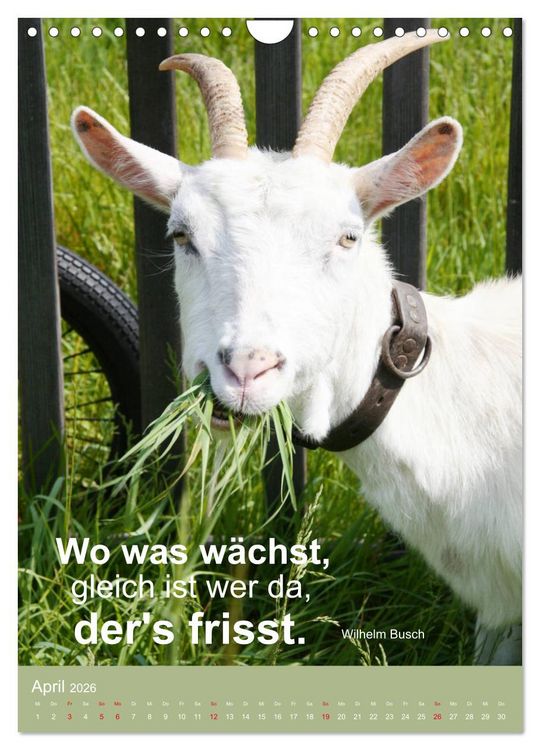 Produktbild: Nimm das Leben leicht, auch wenn's manchmal schwerf&auml;llt (Wandkalender 2026 DIN A4 hoch), CALVENDO Monatskalender