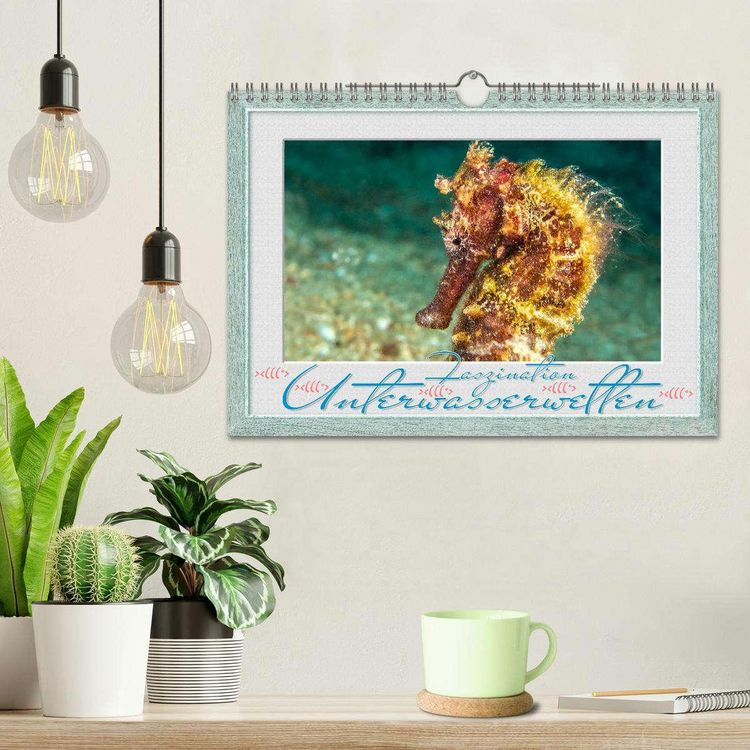 Produktbild: Faszination Unterwasserwelten (Wandkalender 2026 DIN A4 quer), CALVENDO Monatskalender