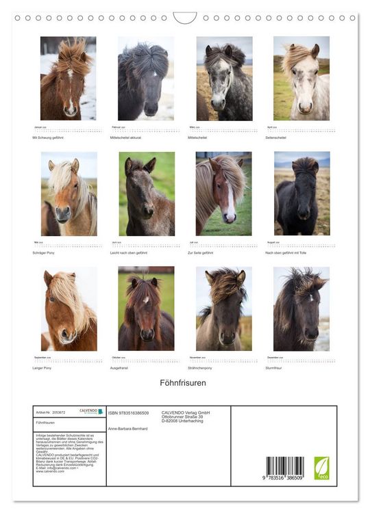 Produktbild: F&ouml;hnfrisuren (Wandkalender 2026 DIN A3 hoch), CALVENDO Monatskalender