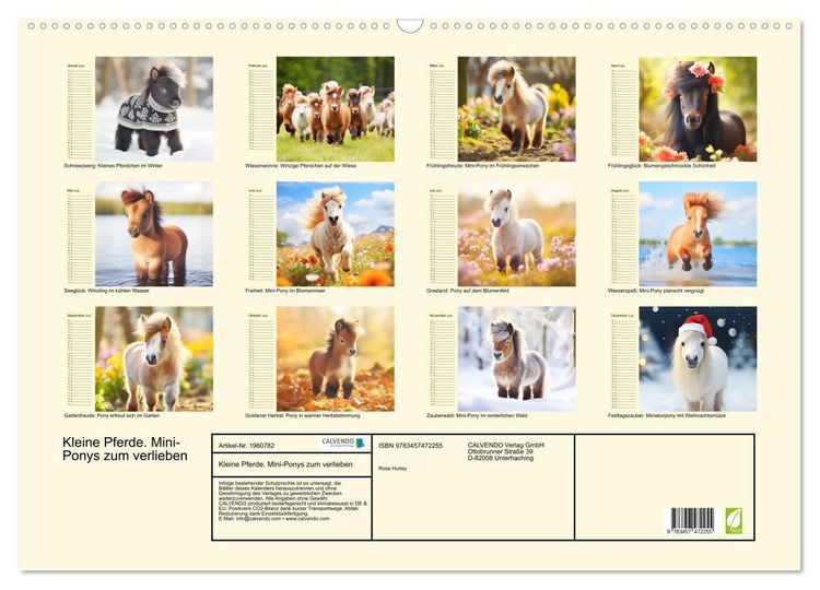 Produktbild: Kleine Pferde. Mini-Ponys zum verlieben (Wandkalender 2026 DIN A2 quer), CALVENDO Monatskalender