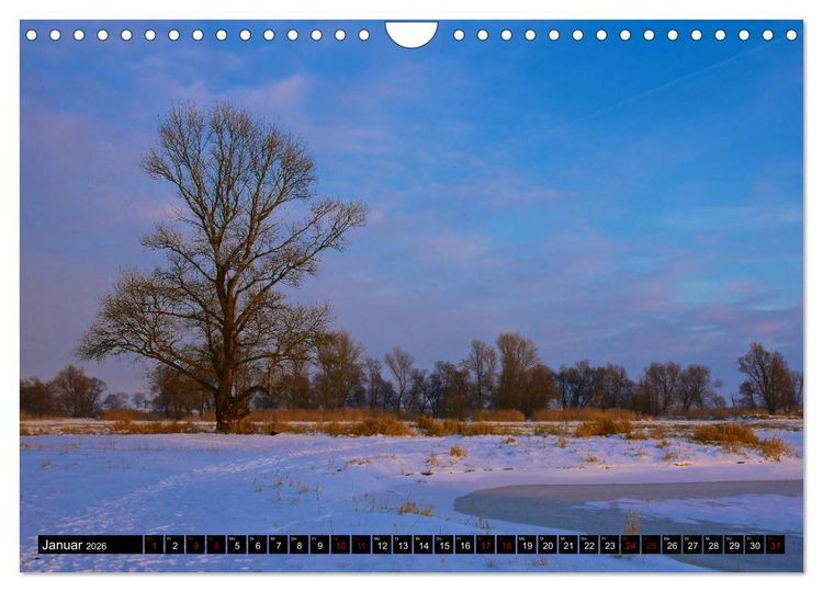 Produktbild: Oderlandschaft (Wandkalender 2026 DIN A4 quer), CALVENDO Monatskalender
