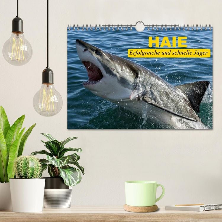 Produktbild: Haie. Erfolgreiche und schnelle J&auml;ger (Wandkalender 2026 DIN A4 quer), CALVENDO Monatskalender