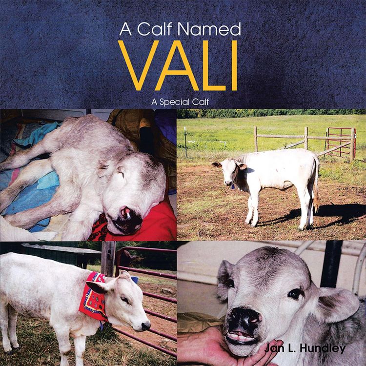 Produktbild: A Calf Named Vali