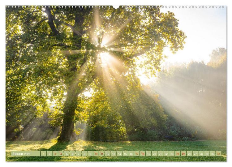 Produktbild: Herbst im Dieskauer Park (Wandkalender 2026 DIN A2 quer), CALVENDO Monatskalender