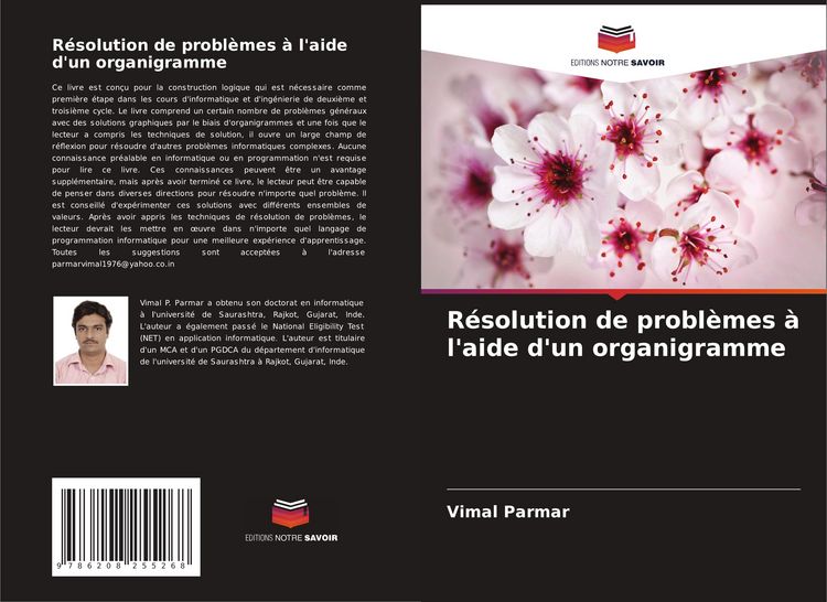 Produktbild: R&eacute;solution de probl&egrave;mes &agrave; l'aide d'un organigramme