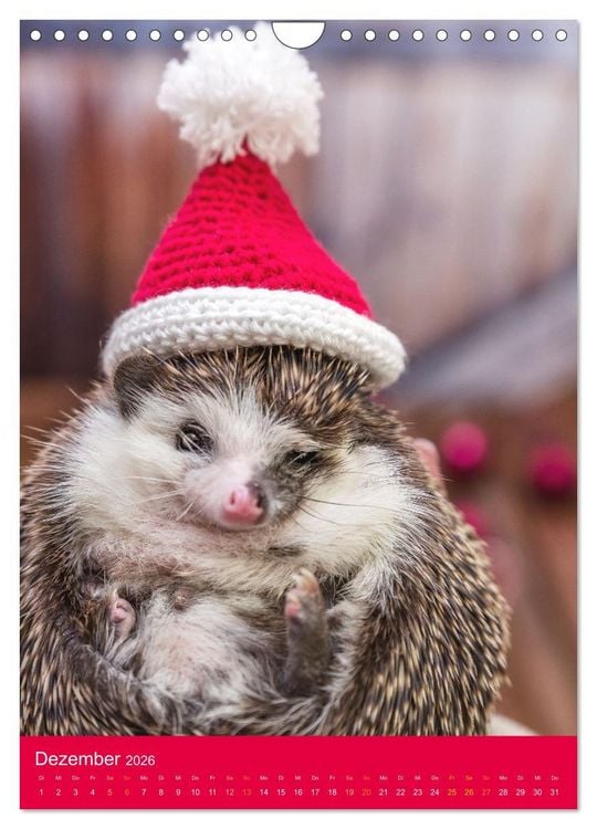 Produktbild: Gilbert der Igel (Wandkalender 2026 DIN A4 hoch), CALVENDO Monatskalender