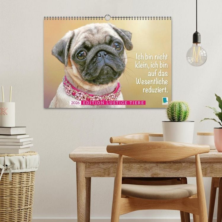 Produktbild: Der Mops: Nicht klein, sondern aufs Wesentliche reduziert. (Wandkalender 2026 DIN A3 quer), CALVENDO Monatskalender