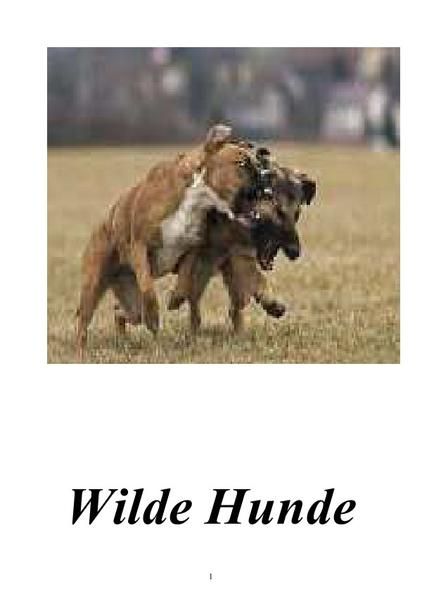 Produktbild: Wilde Hunde