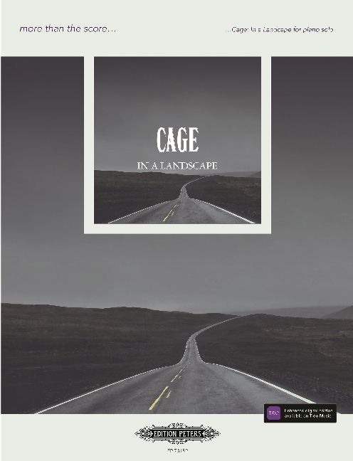 Produktbild: CAGE IN A LANDSCAPE