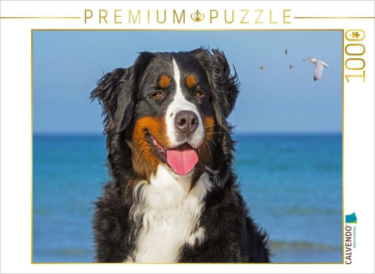 Produktbild: CALVENDO Puzzle Berner Sennenh&uuml;ndin - Eine Sch&ouml;nheit auf vier Pfoten | 1000 Teile Lege-Gr&ouml;&szlig;e 64x48cm Foto-Puzzle f&uuml;r gl&uuml;ckliche Stunden