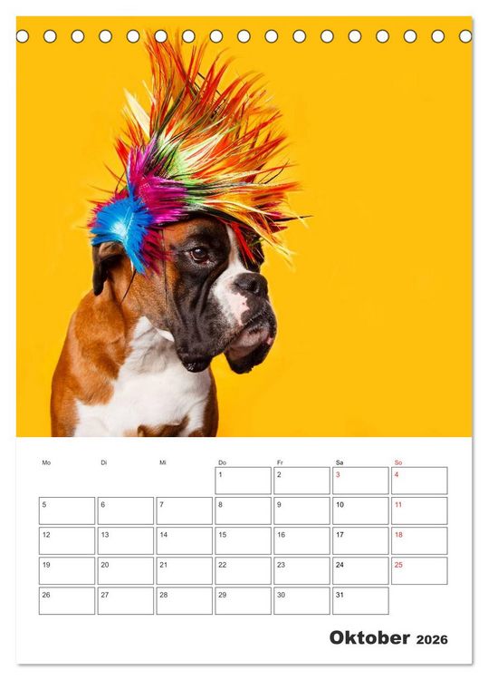 Produktbild: colorful world of boxer 2026 (Tischkalender 2026 DIN A5 hoch), CALVENDO Monatskalender