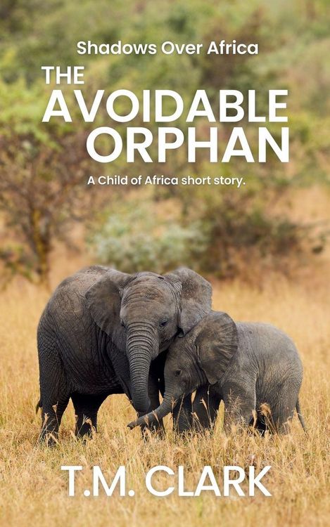 Produktbild: The Avoidable Orphan