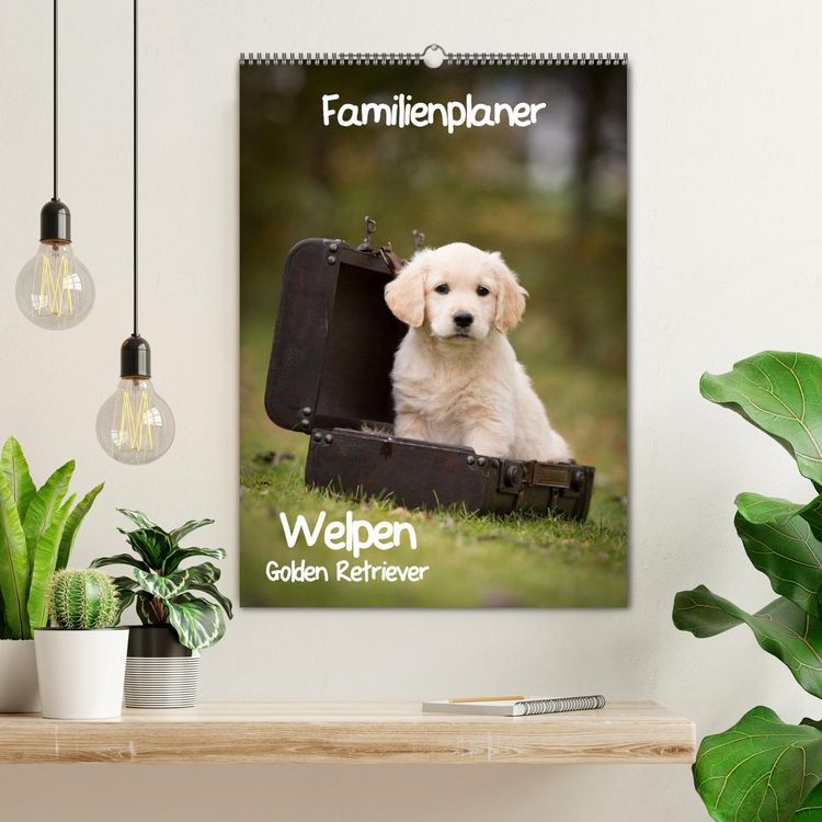 Produktbild: Familienplaner: Golden Retriever Welpen (Wandkalender 2026 DIN A2 hoch), CALVENDO Monatskalender