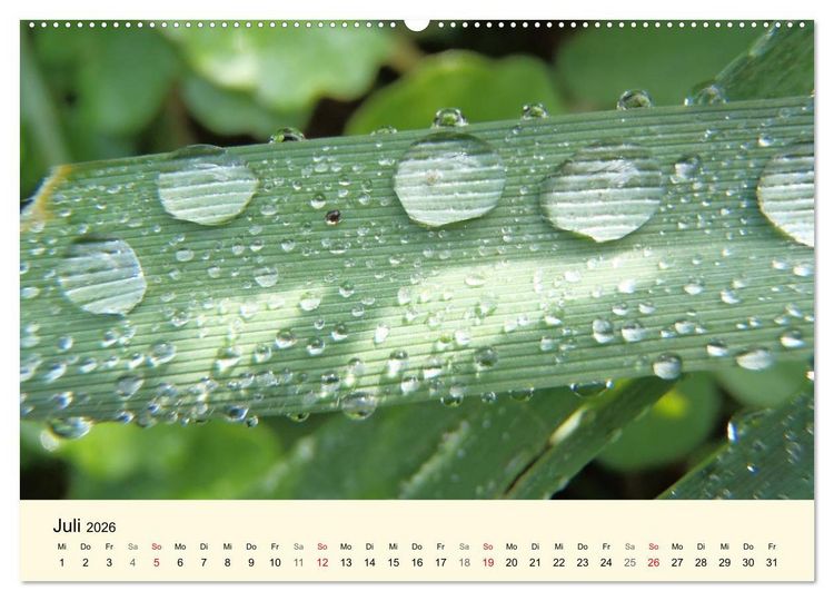 Produktbild: Kraftquelle Gr&uuml;n (Wandkalender 2026 DIN A2 quer), CALVENDO Monatskalender