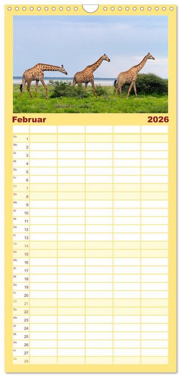 Produktbild: Familienplaner 2026 - Afrikas Tierwelt: Giraffen mit 5 Spalten (Wandkalender, 21 x 45 cm) CALVENDO