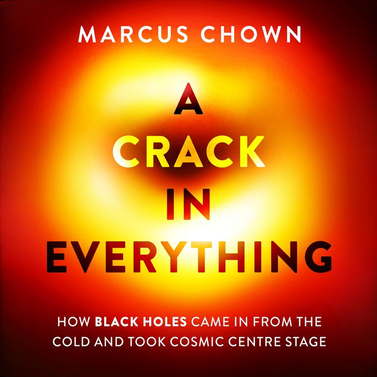 Produktbild: A Crack in Everything
