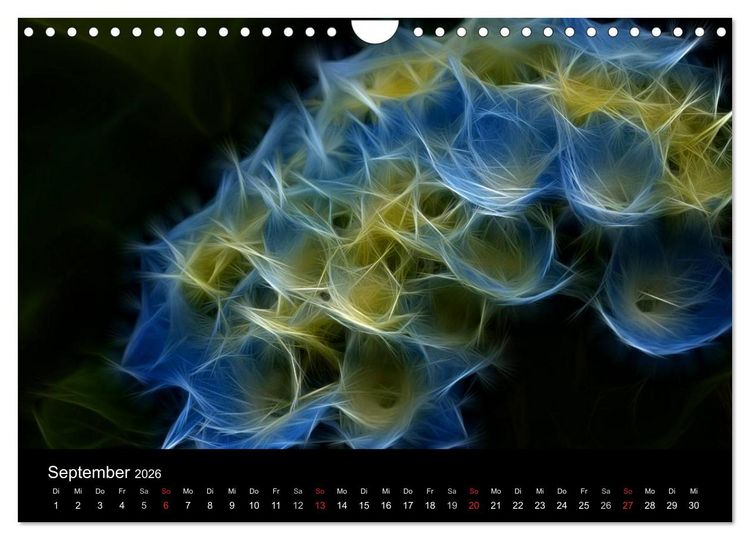 Produktbild: Floral Abstrakt 2026 (Wandkalender 2026 DIN A4 quer), CALVENDO Monatskalender