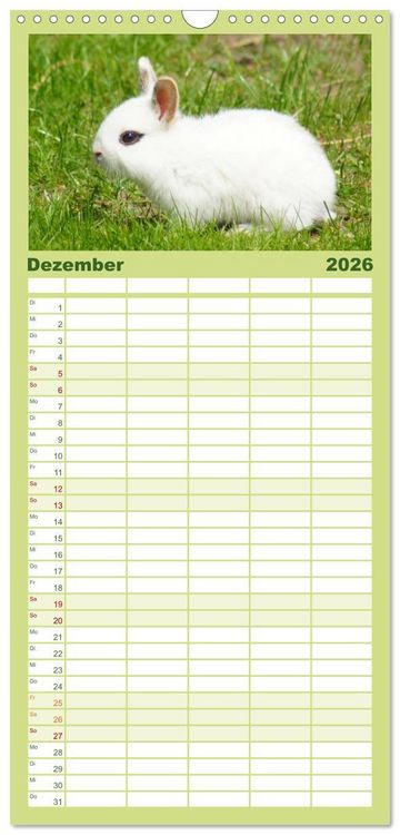 Produktbild: Familienplaner 2026 - Liebenswerte Zwergkaninchen mit 5 Spalten (Wandkalender, 21 x 45 cm) CALVENDO