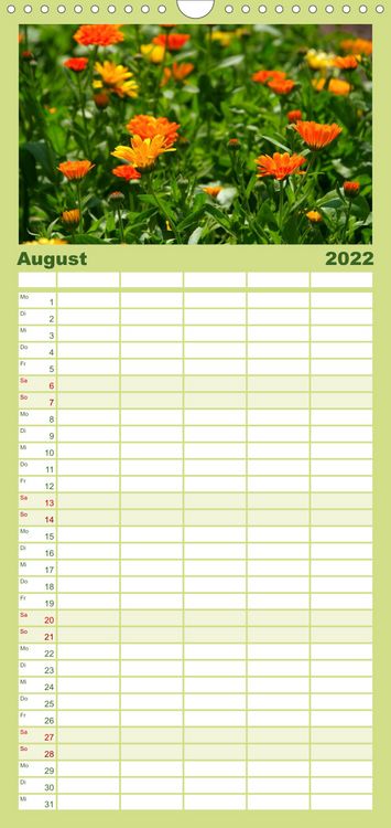 Produktbild: Familienplaner Arzneipflanzen (Wandkalender 2022 , 21 cm x 45 cm, hoch)