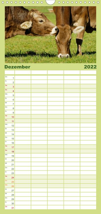 Produktbild: Ein Herz f&uuml;r Rinder - Familienplaner hoch (Wandkalender 2022 , 21 cm x 45 cm, hoch)