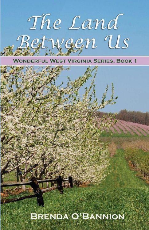 Produktbild: The Land Between Us