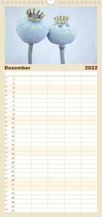 Produktbild: Familienplaner Mohnsch&ouml;nheiten (Wandkalender 2022 , 21 cm x 45 cm, hoch)
