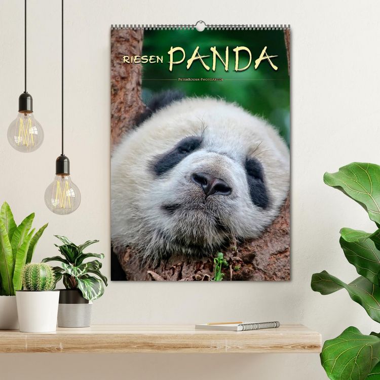 Produktbild: Riesenpanda (Wandkalender 2026 DIN A2 hoch), CALVENDO Monatskalender