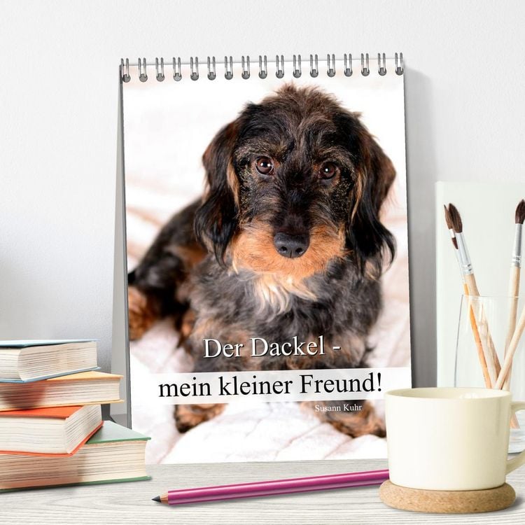 Produktbild: Der Dackel - mein kleiner Freund (Tischkalender 2026 DIN A5 hoch), CALVENDO Monatskalender