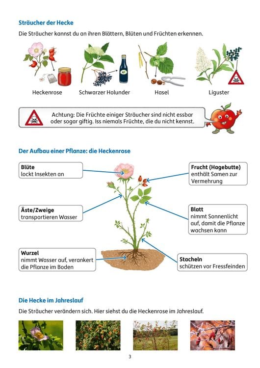 Produktbild: &Uuml;bungsheft mit Tests im Sachunterricht 2. Klasse
