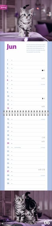 Produktbild: Whiskas Katzenleben Kalender 2027