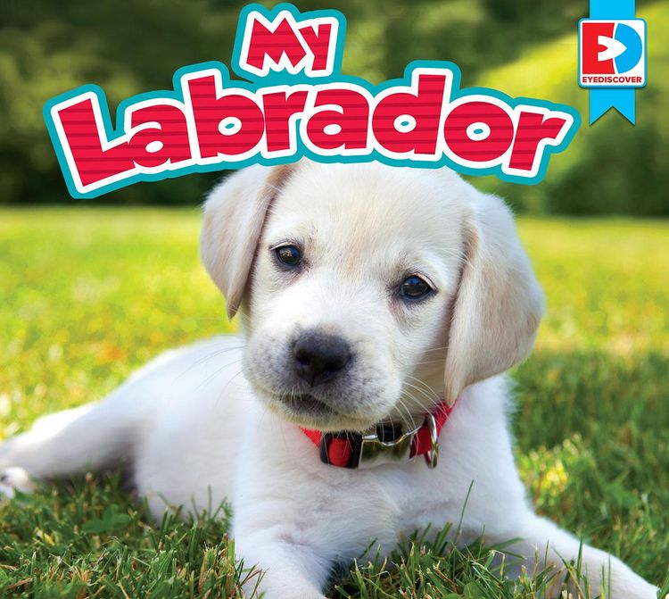 Produktbild: My Labrador