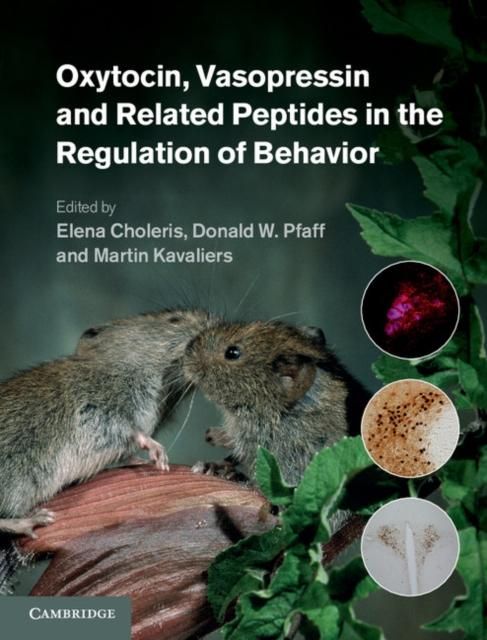 Produktbild: Oxytocin, Vasopressin and Related Peptides in the Regulation of Behavior