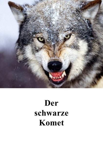 Produktbild: Der schwarze Komet