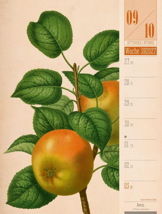 Produktbild: Culinarium Wochenplaner Kalender 2027 | K&uuml;che, Kr&auml;uter, Kurioses