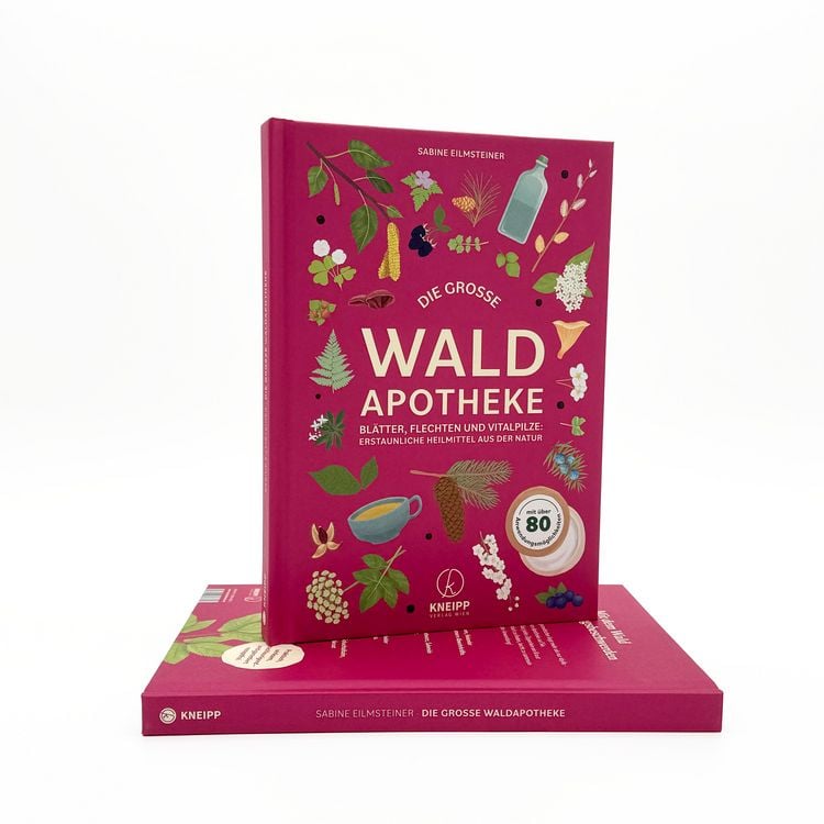 Produktbild: Die gro&szlig;e Waldapotheke
