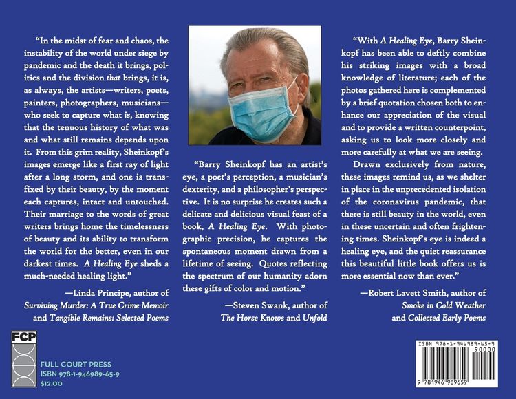 Produktbild: A Healing Eye