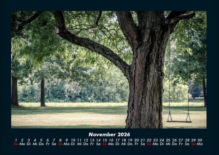 Produktbild: B&auml;ume 2026 Fotokalender DIN A4