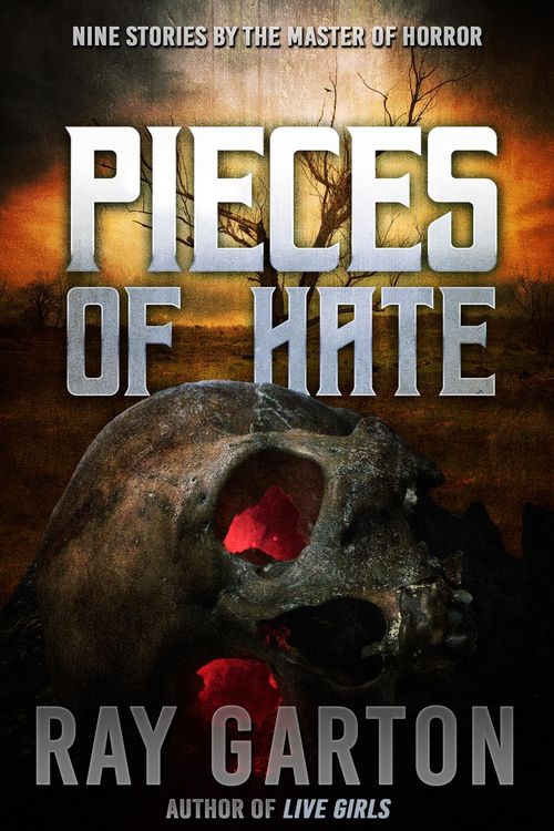 Produktbild: Pieces of Hate